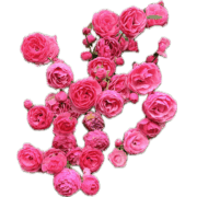039
