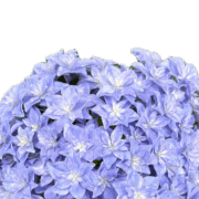 040
