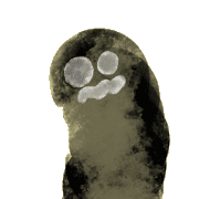 005