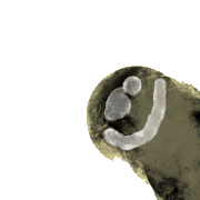 016