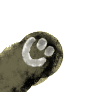 017