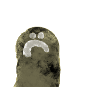 019