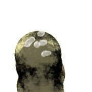 020