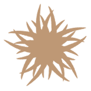 035
