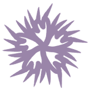 011