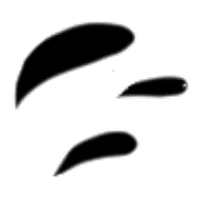 007