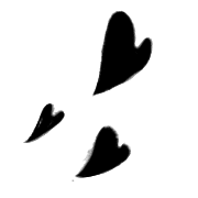 009