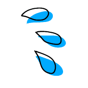 013