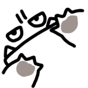 031