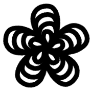 005