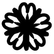 009