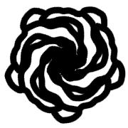 020