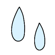 006