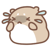 016