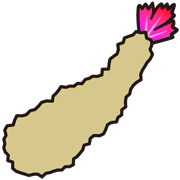 009