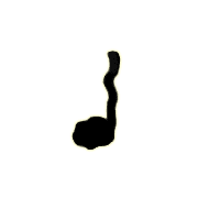 019