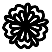 005