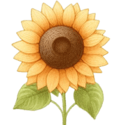 005