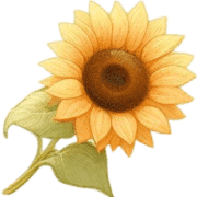 040