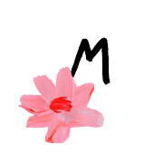 ลายที่ 13