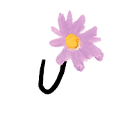 ลายที่ 21