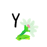 ลายที่ 25
