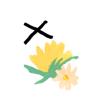 ลายที่ 50