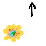 ลายที่ 99