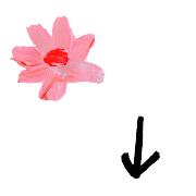 ลายที่ 100
