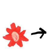ลายที่ 101