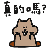 007