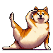005