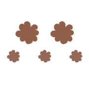 019