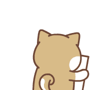 019
