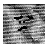 009