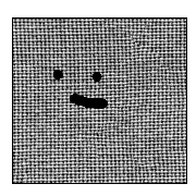 019