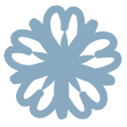 009
