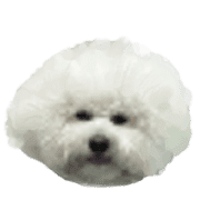 019