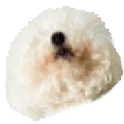 032