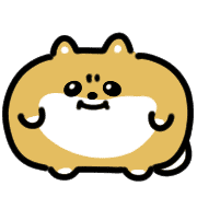 003