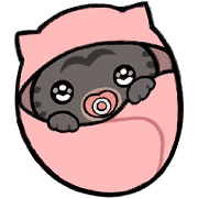 036