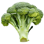 อิโมจิไลน์ broccoli emoji