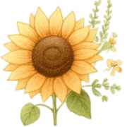 003