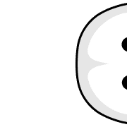 029