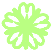 009