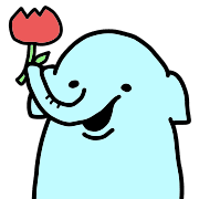 005