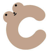 029