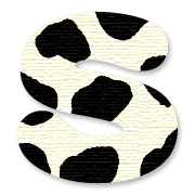 019