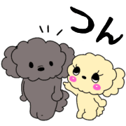 อิโมจิไลน์ Teacup poodle4