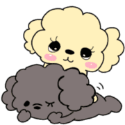 อิโมจิไลน์ Teacup poodle4